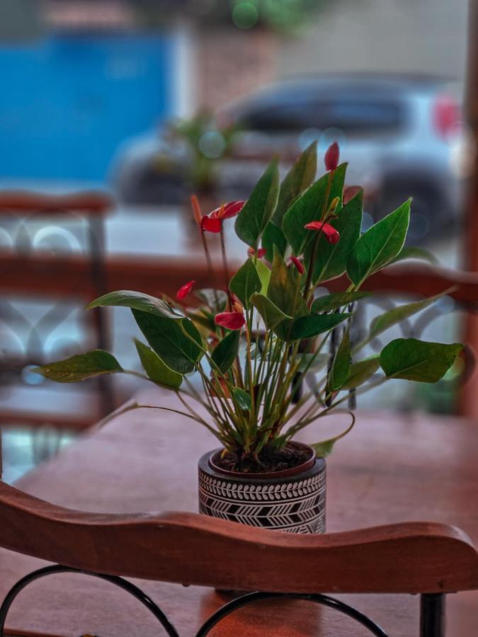 Bliss Hoteis Centro Búzios 外观 照片 Anthurium